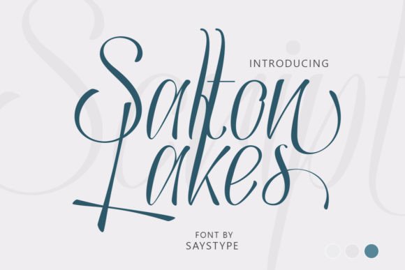 Salton Lakes: The Handwritten Font That Polishes Your Small Business Brand